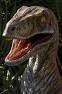 /album/fotogaleria-velociraptor/vel-jpeg/