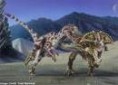 /album/fotogaleria-velociraptor/veloci-jpeg/