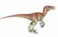 /album/fotogaleria-velociraptor/velocir-jpeg/