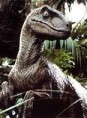 /album/fotogaleria-velociraptor/velociraptor-jpeg/
