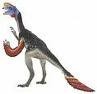 /album/fotogaleria-oviraptor/ov-jpeg/