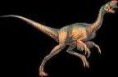 /album/fotogaleria-oviraptor/ovir-jpeg/