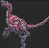 /album/fotogaleria-oviraptor/ovira-jpeg/