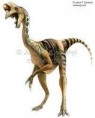 /album/fotogaleria-oviraptor/oviraptor-jpeg/
