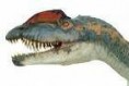 /album/fotogaleria-dilophosaurus/dddd-jpeg/