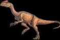 /album/fotogaleria-dilophosaurus/ddddd-jpeg/