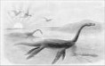 /album/fotogaleria-plesiosaurus/ppp-jpeg/