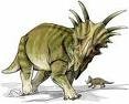 /album/fotogaleria-stiracosaurus1/sss-jpeg1/