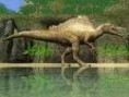 /album/fotogaleria-spinosaurus-aegyptiacus/aaa-jpeg/