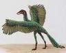 /album/fotogaleria-archaeopteryx/a-jpeg/
